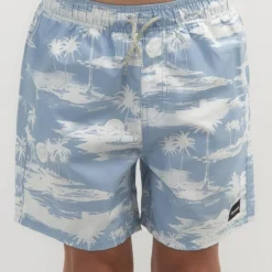 Rip Curl Boys' Dreamers Volley Beach Shorts -Cheap Kiddo Cloth Store 20332500 05 RT XL