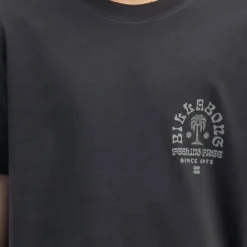 Billabong Boys' Big Wave Shaz SS T-Shirt -Cheap Kiddo Cloth Store 20357567 01 RT XL